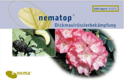 nematop
