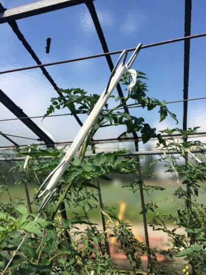 Tomatenhaken beiwickelt mit EcoTwine Ökoschnur