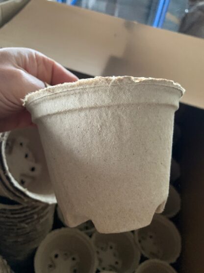 kompostierbare Kulturtöpfe / Pflanztöpfe 12 cm Durchmesser
