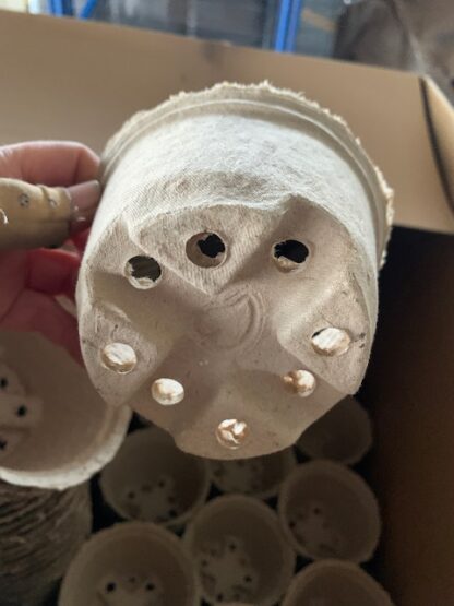 kompostierbare Kulturtöpfe / Pflanztöpfe 12 cm Durchmesser – Bild 2