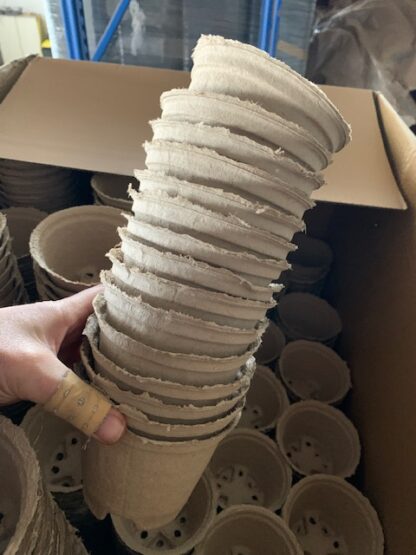 kompostierbare Kulturtöpfe / Pflanztöpfe 12 cm Durchmesser – Bild 5
