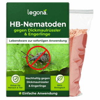 HB-Nematoden gegen Dickmaulrüssler und Engerlinge – Legona®