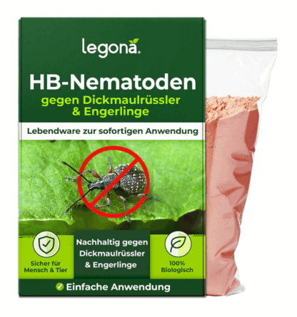 HB-Nematoden gegen Dickmaulrüssler und Engerlinge – Legona®