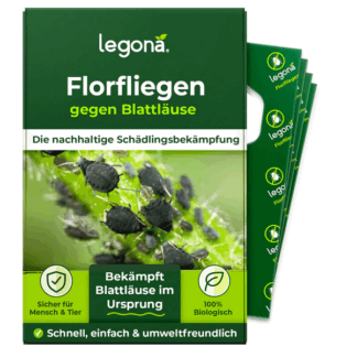 Florfliegenlarven gegen Blattläuse & Thripse - Legona®